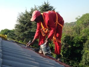 Roof painting