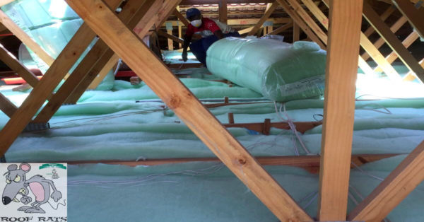installing pitched roof insulation